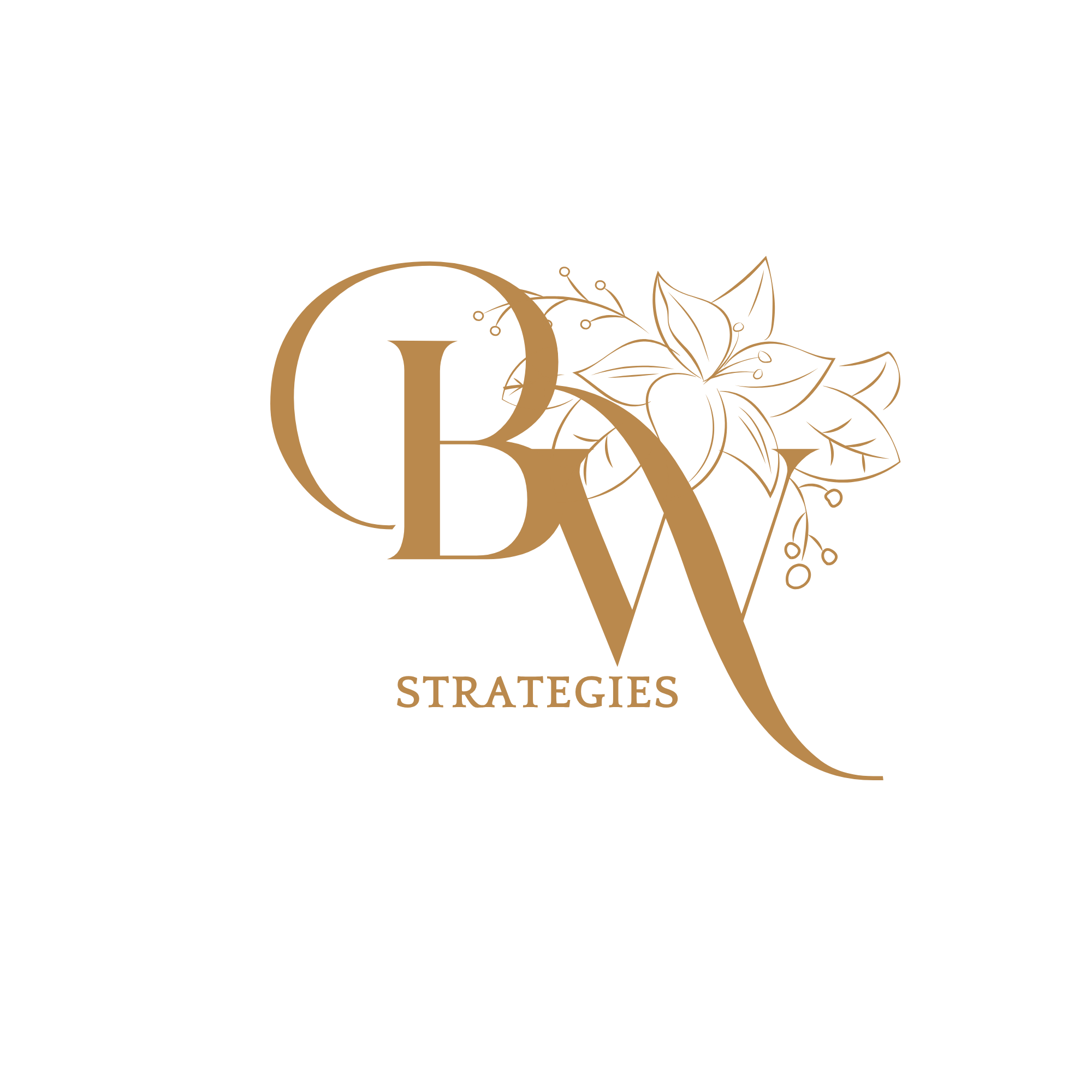 bwealthstrategies.com